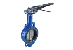 Butterfly Valves Manufacturer & Supplier in India