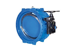 Double Eccentric Butterfly Valves Supplier in India