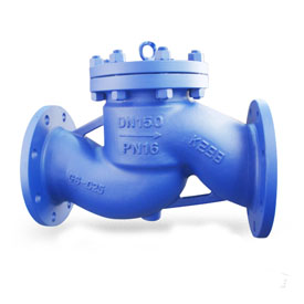 DIN Lift Check Valve Supplier in India