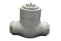 Pressure Sealed Check Valves Supplier in India