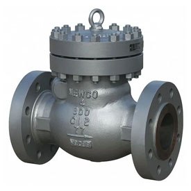 UNS S32205 F60 Check Valves Supplier in India