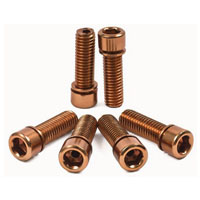 Beryllium Copper Hex Cap Screws Manufacturer in India