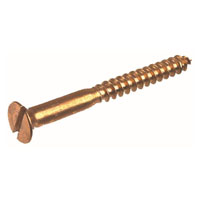 Beryllium Copper Lag Screws Manufacturer in India