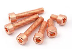 Beryllium Copper Screws Exporter in India