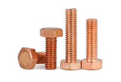 Beryllium Copper Screws Manufacturer & Supplier in India