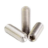 Nitronic 60 Screw Manufacturer in India