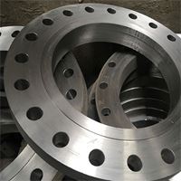 Mild Steel flanges Manufacturer in India