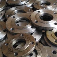 Nickel alloy flanges Manufacturer in India