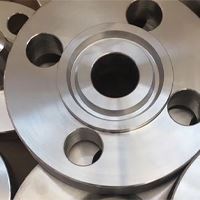 Stainless Steel 304L Flanges Manufacturer in India