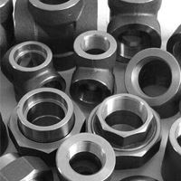 ASTM A105 Forged Fittings Manufacturer in India