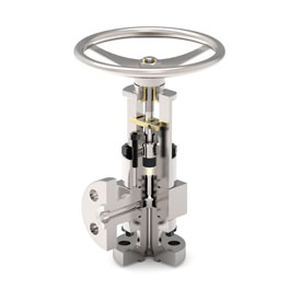Angle Type Globe Valve Supplier in India