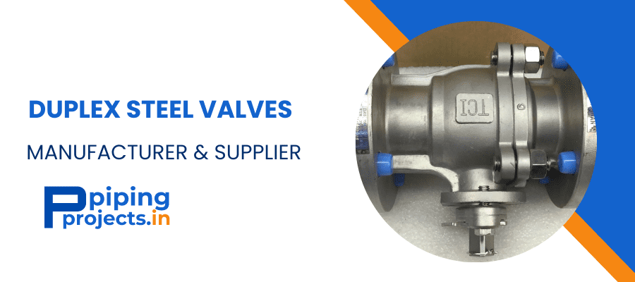 Duplex Steel Valves Manufacturer in India
