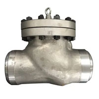 Duplex check valve Manufacturer in India