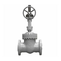 Duplex globe valve Manufacturer in India