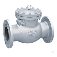 Hastelloy check valve Manufacturer in India