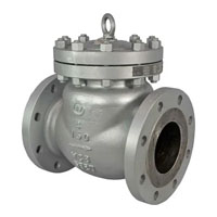Inconel check valve Manufacturer in India