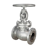 Monel globe valve Manufacturer in India