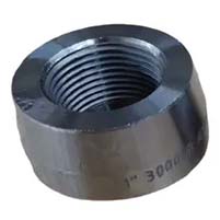 Carbon Steel Welding Outlet Manufacturer in India