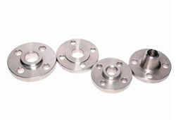 Stainless Steel 304 Flanges Manufacturer & Supplier in India