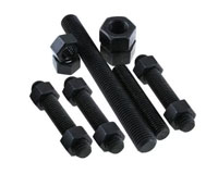 Carbon 304L Fasteners Stockists in India