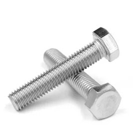 Stainless Steel 304L Bolt Manufacturer in India