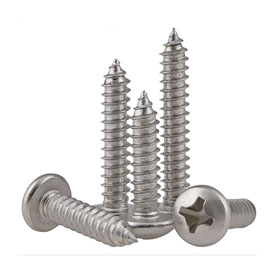 Stainless Steel 304L Screw Manufacturer in India