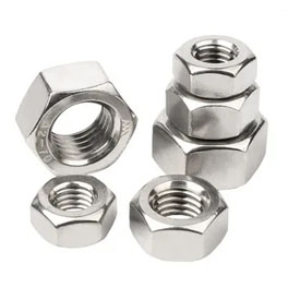 Stainless Steel 316 Nut Manufacturer in India