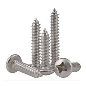 Stainless Steel 316 Screw Manufacturer in India