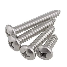Stainless Steel 316L Screw Manufacturer in India