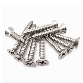 Stainless Steel Screw Manufacturer in India