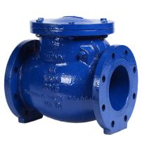 Check valves Manufacturer in India