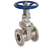 Stainless Steel Gate Valve Manufacturer in India