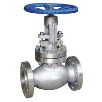Stainless Steel Globe Valve Manufacturer in India