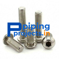 Stainless Steel 304L Fasteners Manufacturer in India