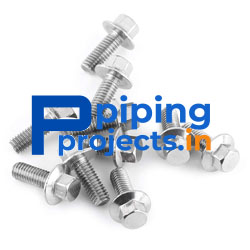 Stainless Steel 304L Fasteners Supplier in India