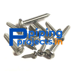 Stainless Steel Screws Supplier in India